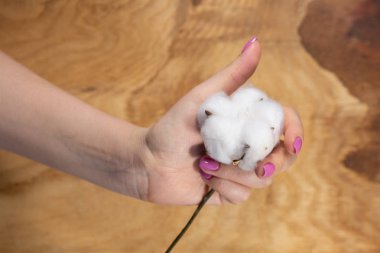 Modaya uygun hassas bahar manikür. Eller tırnak tasarımı ile
