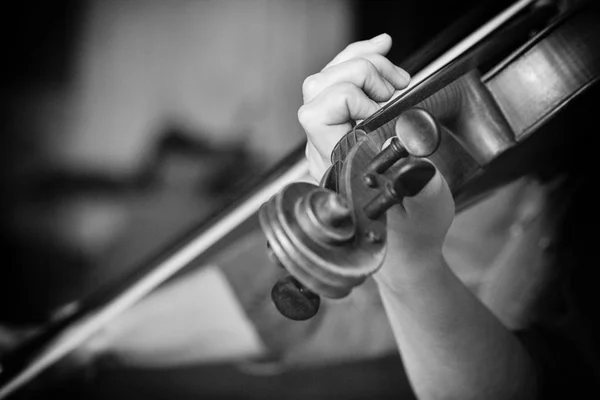 Young beautiful woman violin player looking at camera over instrument on her shoulder holding bow. Black and white image