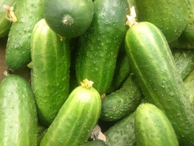 bir bakkal tezgahında taze salatalık