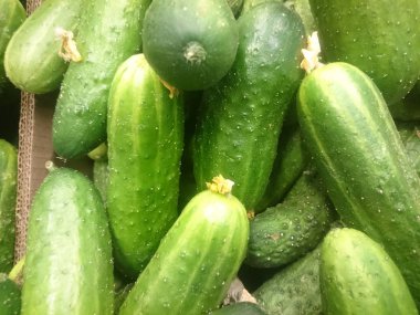 bir bakkal tezgahında taze salatalık