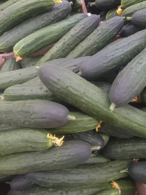 bir bakkal tezgahında taze salatalık