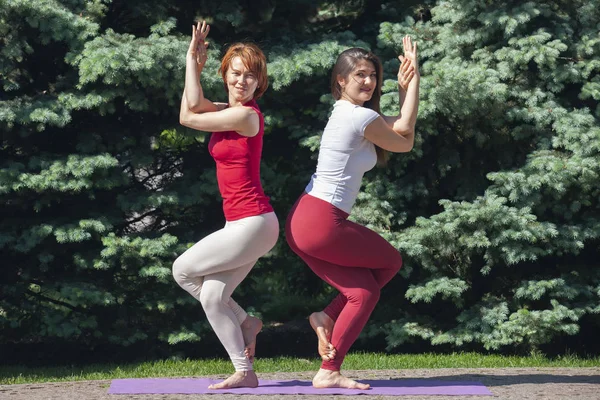 Dos mujeres jóvenes hermosas y felices haciendo ejercicios de yoga y en el parque en un día soleado en primer plano — Foto de Stock