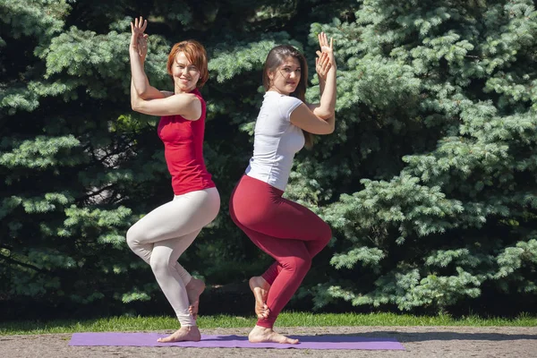 Zwei schöne und glückliche junge Frauen bei Yoga-Übungen und im Park an einem sonnigen Tag in Großaufnahme — Stockfoto