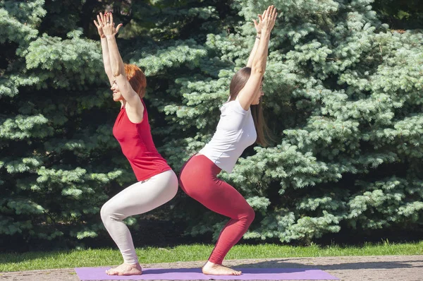 İki güzel ve mutlu genç kadın Yoga egzersizleri yapıyor ve yakın çekim güneşli bir günde parkta