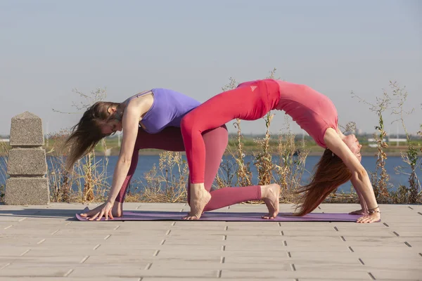 Zwei erwachsene Frauen im Alter von Yoga im Sommer im Park — Stockfoto