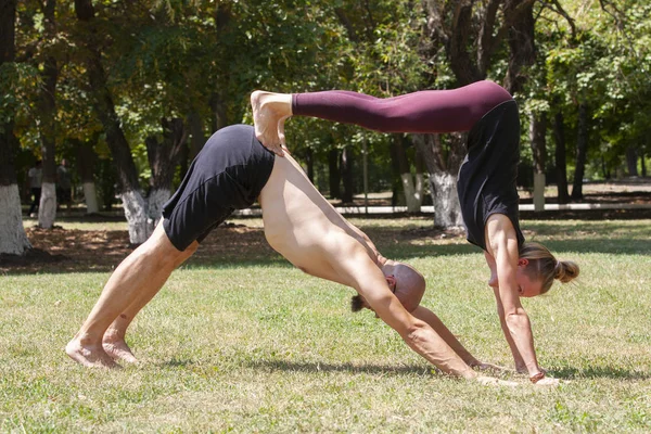 Giovane uomo e donna che fanno yoga nel soleggiato parco estivo — Foto Stock