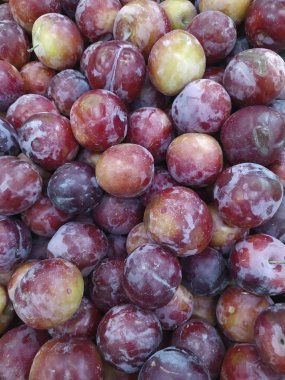 Makro fotoğraf gıda meyve erik. Taze mavi Erik doku arka plan. Resim meyve ürün mavi Erik. Sınırlı alan derinliği