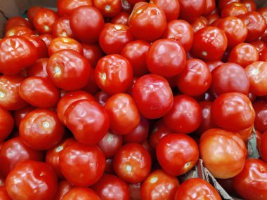 Kırmızı domates arka planı. Sınırlı alan derinliği