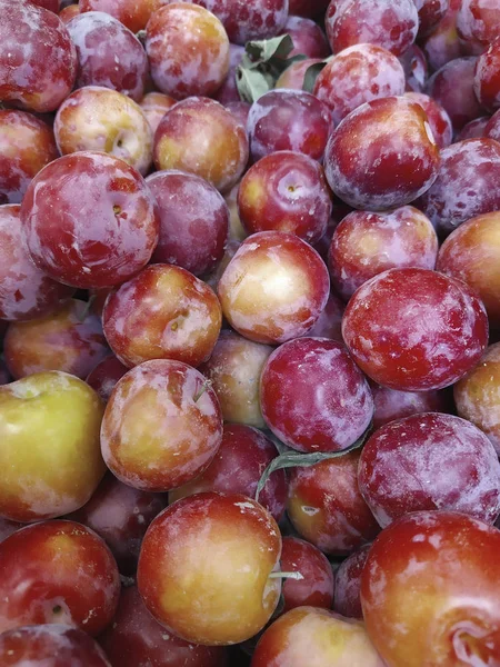 Macro Photo food fruit plums. Texture background of fresh blue plums. Image fruit product blue plums. Limited depth of field