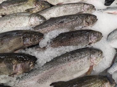 buz gökkuşağı alabalıkta taze balık seefood Festivali