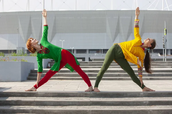 Doğada yoga yapan iki kadın. Sağlıklı yaşam tarzı. Doğada egzersiz.