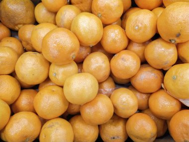 Piyasada taze mandalina portakalları