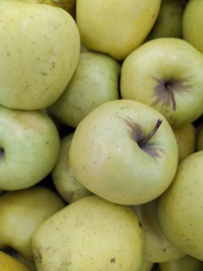 Yeşil elma arka plan, sığ derinlik-in tarla.