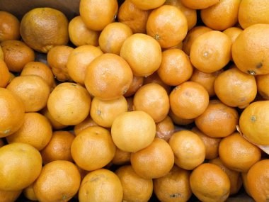 Piyasada taze mandalina portakalları