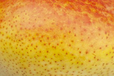 Armut cilt yüzey doku deseni yakın detay makro. Soyut arka plan.