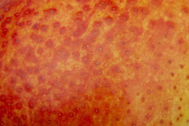 Armut cilt yüzey doku deseni yakın detay makro. Soyut arka plan.