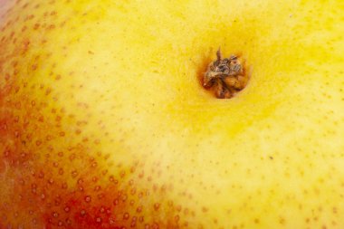 Armut cilt yüzey doku deseni yakın detay makro. Soyut arka plan.