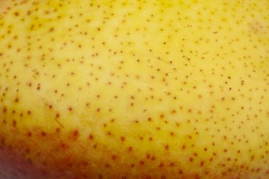 Armut cilt yüzey doku deseni yakın detay makro. Soyut arka plan.