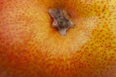 Armut cilt yüzey doku deseni yakın detay makro. Soyut arka plan.