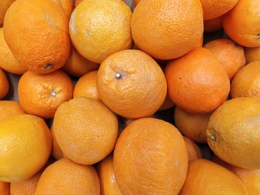 arka plan sulu olgun portakal taze meyve ağacından aldı