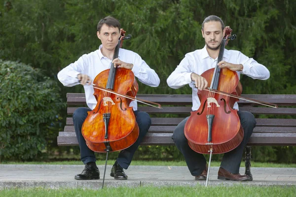 Cello. Cello spel visas närbild. — Stockfoto