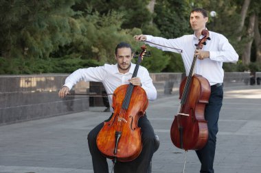 Klasik müzik profesyonel çello oyuncu solo performansı, eller yukarı, tanınmayan kişi yakın