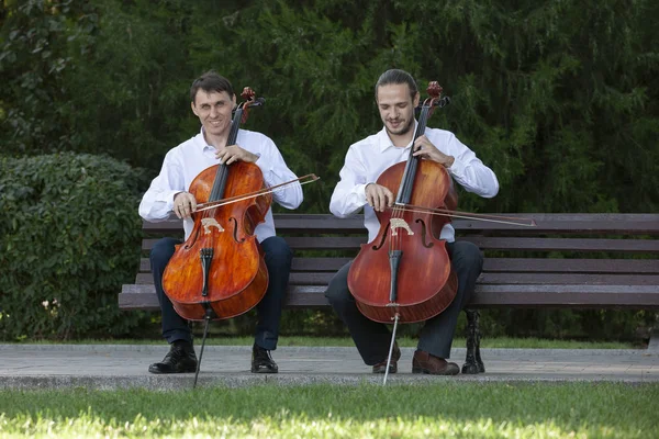 Cello. Cello spel visas närbild. — Stockfoto