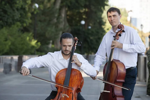 Klasik müzik profesyonel çello oyuncu solo performansı, eller yukarı, tanınmayan kişi yakın