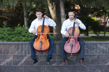 Viyolonsel. Viyolonsel oynama yakından gösterilir.