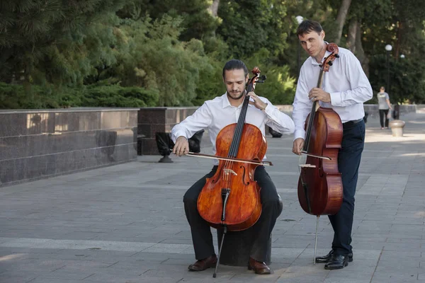 Klasik müzik profesyonel çello oyuncu solo performansı, eller yukarı, tanınmayan kişi yakın