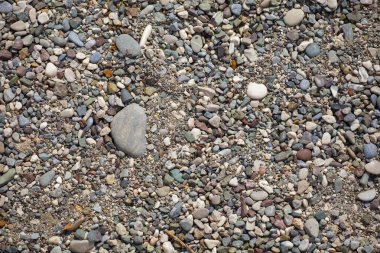 Deniz kıyısı. Çakıl plajı. Küçük renkli deniz taşları yakın çekim. Renkli deniz tabanı. Yaz tatili arka plan, doğa tatil konsepti. Seçici odaklama.