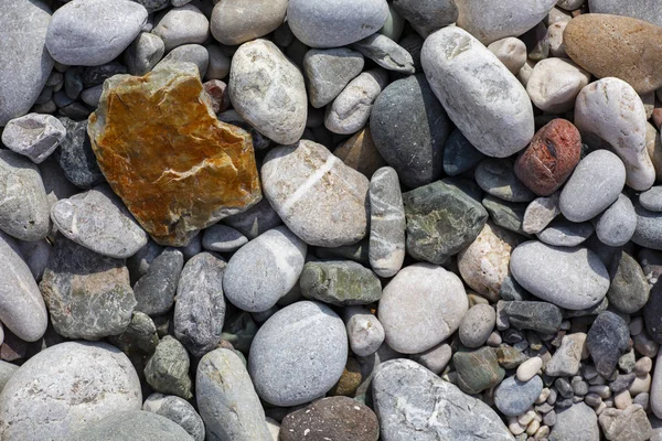 Steine Textur. Hintergrund die feuchten mehrfarbigen Kieselsteine Nahaufnahme weichen Fokus vom Kieselstrand bei trübem Wetter. — Stockfoto