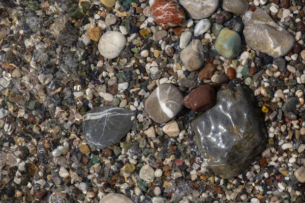 Steine Textur. Hintergrund die feuchten mehrfarbigen Kieselsteine Nahaufnahme weichen Fokus vom Kieselstrand bei trübem Wetter. — Stockfoto