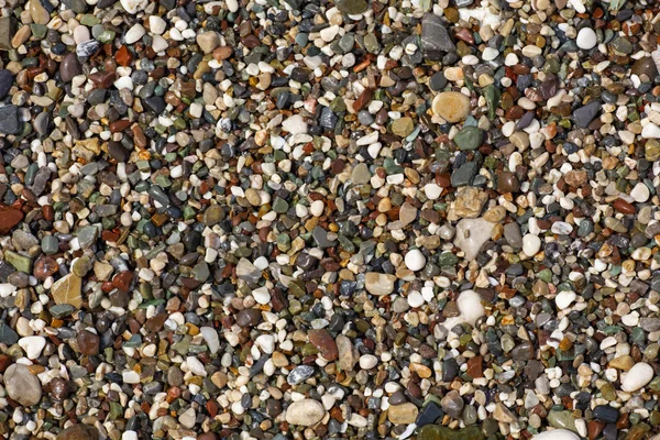 Stones texture. Background the damp multi-colored pebbles close up soft focus from on the pebbly beach in cloudy weather. — Stock Photo, Image