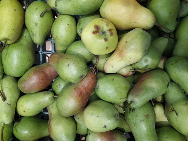 Textura de pera: muchas peras recogidas en búnkeres durante la cosecha en la etapa de producción — Foto de Stock