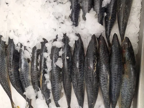 Fresh chilled fish lying on the ice. Fresh fish in the store