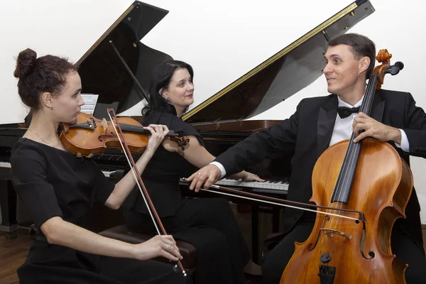 Symfoniorkesterns musiker. En ung violinist och cellist spelar, pianisten följer med dem. Stockfoto