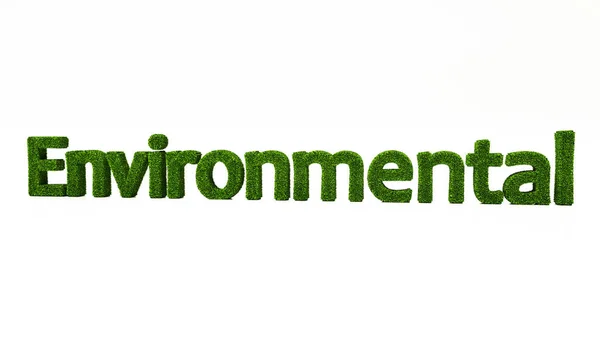 Renderização Palavra Ambiental Feita Grama Verde Salvar Conceito Terra — Fotografia de Stock