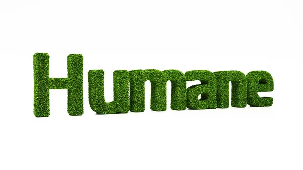 Representación Palabra Humana Hecha Hierba Verde Salvar Concepto Tierra —  Fotos de Stock