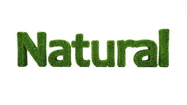 Rendering Parola Naturale Fatta Erba Verde Salvare Concetto Terra — Foto Stock