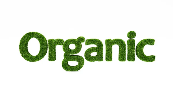 Рендеринг Organic Слово Зеленой Травы Сохранить Концепцию Земли — стоковое фото