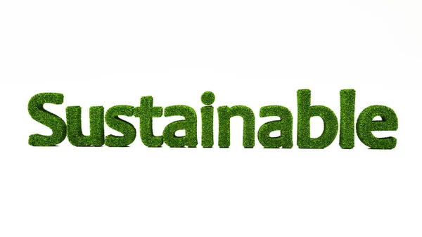 Rendering Nachhaltiges Wort Aus Grünem Gras Speichern Sie Das Erdkonzept — Stockfoto