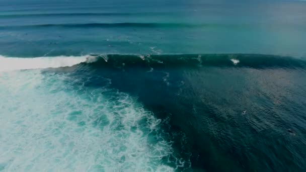 Vista Aérea Del Surfista Sobre Las Olas Surfistas Tabla Esperando — Vídeo de stock