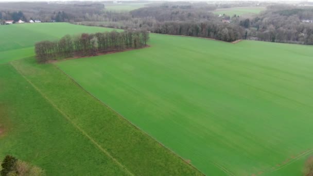 Vista Aérea Terras Agrícolas Cercadas Por Floresta Durante Temporada Inverno — Vídeo de Stock