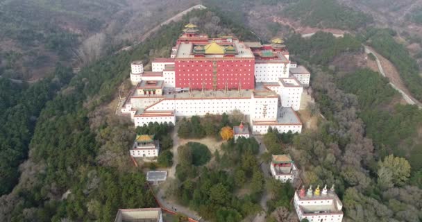 Luchtfoto Van Putuo Zongcheng Boeddhistische Tempel Één Van Acht Outer — Stockvideo