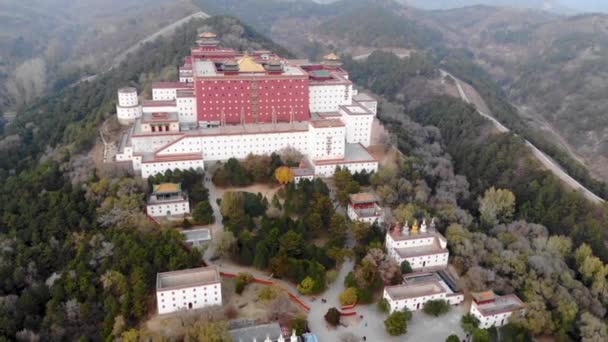 Luchtfoto Van Putuo Zongcheng Boeddhistische Tempel Één Van Acht Outer — Stockvideo