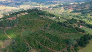 Yeşil doğa doğal dağ orman, tropik ülke vadide hava görünümünü. Havadan görünümü orman ve tarım alanı ve Lüks Villa. Orman Gölü ile yeşil alan. Brezilya
