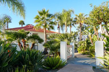 Tipik Güney Kaliforniya, İspanyolca güzel bahçe ağaçları ve palmiye ağaçları ile çevrili konut tarzı. San Diego, Kaliforniya, ABD