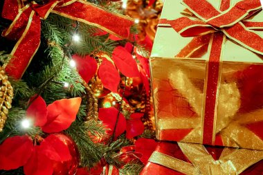 Noel ağacı kadar yakın Noel süsleri. Sarı ve kırmızı renkli topları yeşil Noel ağaç arka plan dekorasyon Noel ve Yılbaşı sırasında tarih seçici odak.