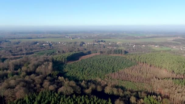 Vista Aérea Paisagem Rural Com Florestas Terras Agrícolas Durante Belo — Vídeo de Stock